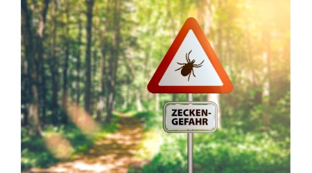 2 3 2 Reiseimpfung gegen FSME
